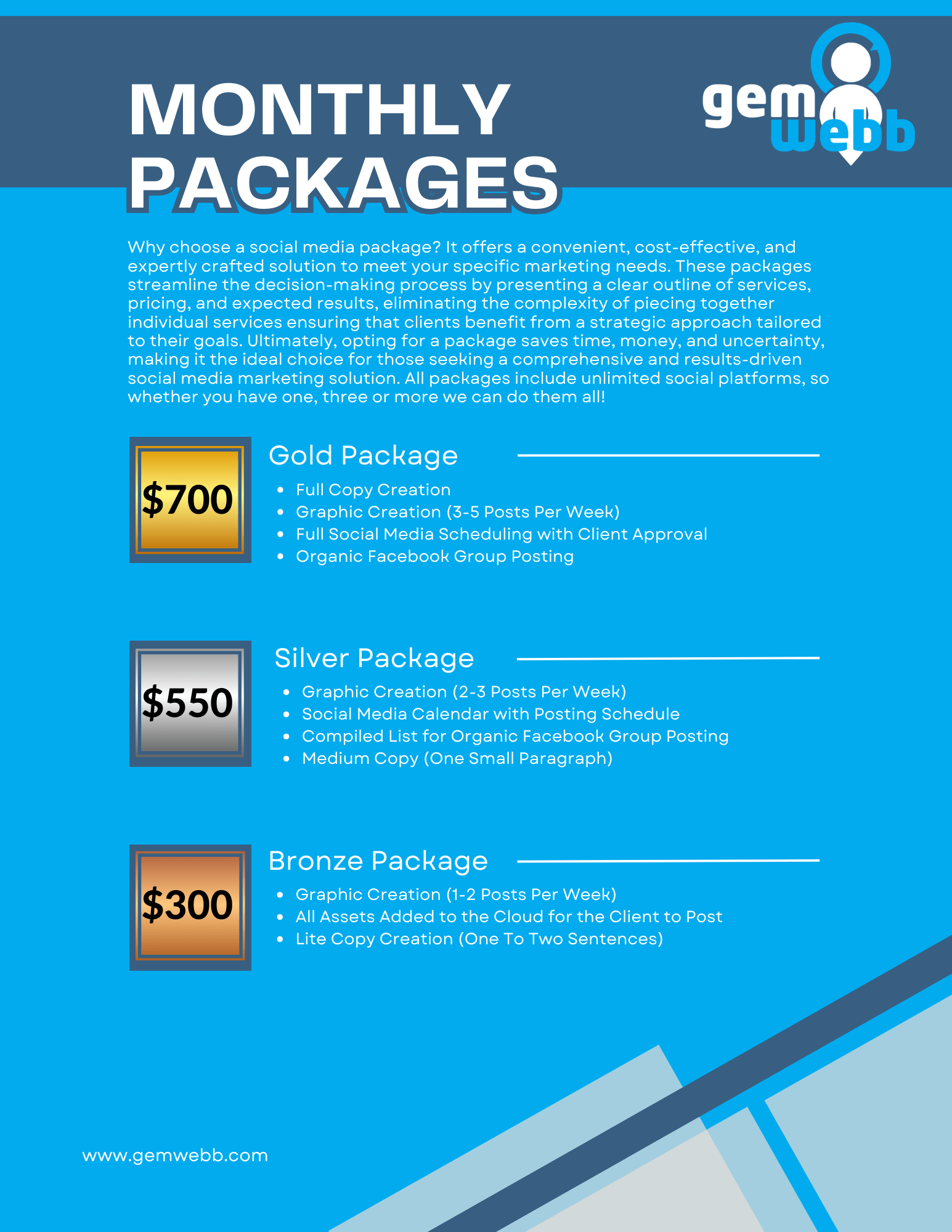 Social Media Packages owen sound.png